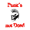 Punks not Dead