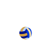 volley ball