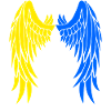 Ukrainian flag wings freedom power