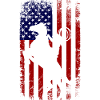 USA Flag Horse