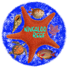 NINGALOO REEF