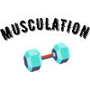 musculation