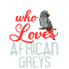 African grey parrot parrot bird Africa