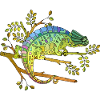 Chameleon