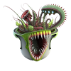 Green Undead