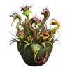 Zombie herbivores