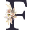 Customizable Monogram F Floral