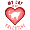 My cat is my valentine