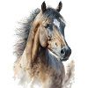 Aquarelles à cheval Cavalier