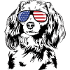 Nederlandse KOOIKERHONDJE America Flag Dogs