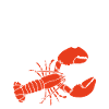 Her Lobster