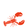 Son homard