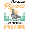 Pigeons Pigeon Breeding Pigeon Fancier