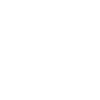 lyon original