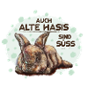 Alter Hase