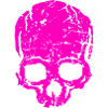 Crâne en rose