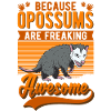 Because Opossums are freaking awesome