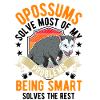 Opossum Gift Possum Marsupial