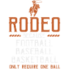 Rodeo, Western Riding