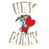 Hey , wink