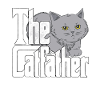 Kattefar Catfather Crazy Cat Far Kitty Daddy