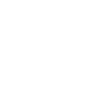 6 different cacti white