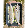poissons