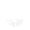 Règles du vinyle Audiophile