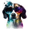 Stylish dog with sunglasses