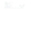 Chasse à l’écureuil