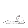 Mountain hare