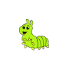 Raupe