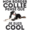 border collie 6