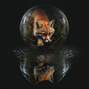 Foxsphere - Fuchssphere