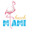 Flamingo Miami Beach