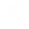 Ninjutsu