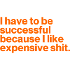 I HAVE TO BE SUCCESSFUL