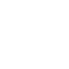 Horse and dog running