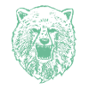The bear is loose