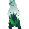 Bär