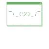 Developer Coder Programmer