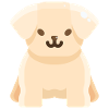 Puppy, the cute little dog