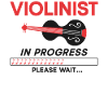 Violon Violoniste Violoniste En