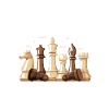 Chess player