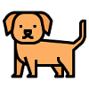 Beautiful drawn dog