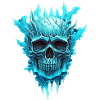Icy skull