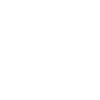 Support Your Local Street Cats Waschbär