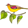 Vogel