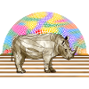 Rhinoceros