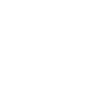Lacrosse Coach Stick